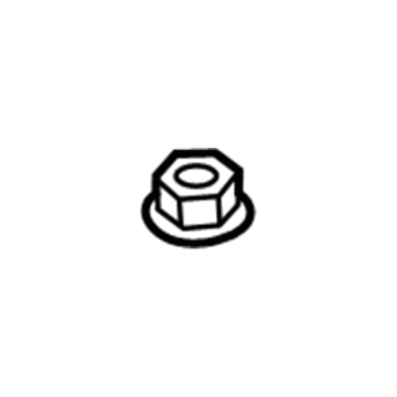 Lincoln -W702438-S300 Center Shield Retainer Nut