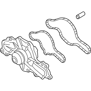 Ford DG1Z-8501-D Water Pump Assembly