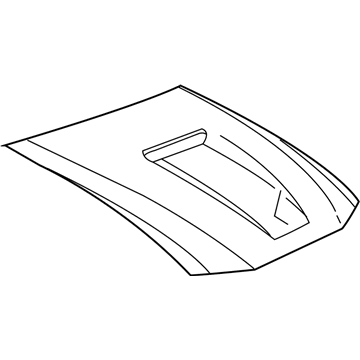 Ford 1R3Z-16612-AA Hood