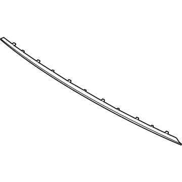 Lincoln LC5Z-13A418-B Lower Molding