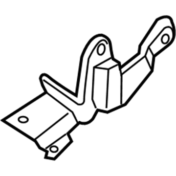 Lincoln DS7Z-9661320-B Hinge