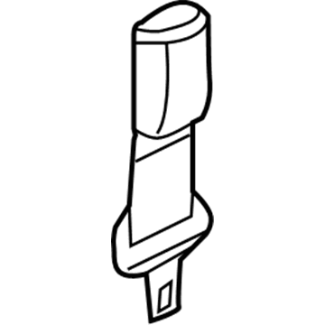 Lincoln 2F1Z-54611C22-AAA Extension