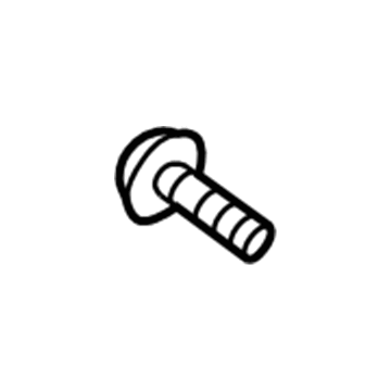 Lincoln -W713778-S450B Door Check Bolt