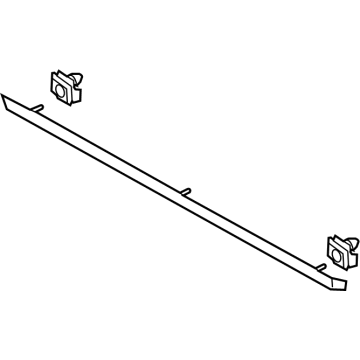 Ford DP5Z-5420879-AA Moulding - Door Outside