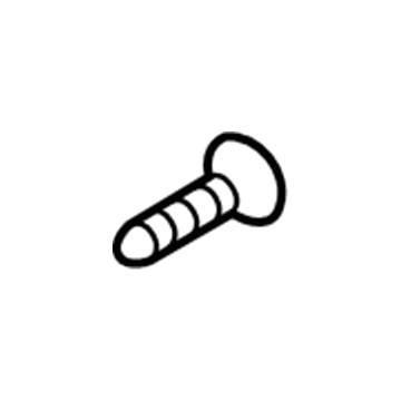 Ford -W703283-S437M Striker Screw