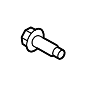 Lincoln -W713778-S450B Door Check Bolt