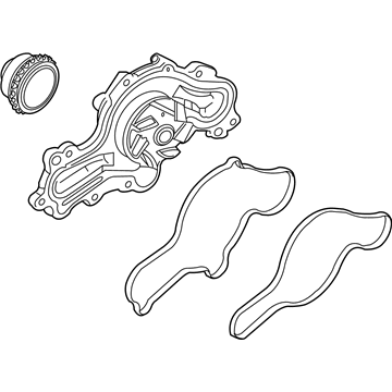 Ford DG1Z-8501-D Water Pump Assembly