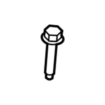 Lincoln -W708060-S437 Water Outlet Screw