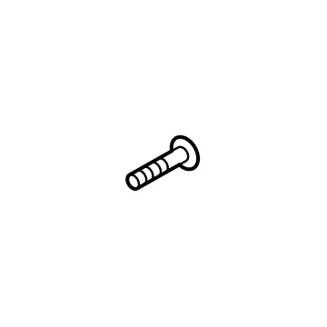 Lincoln -W502663-S450B Insert Panel Screw