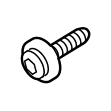 Lincoln -W710506-S424 Check Screw