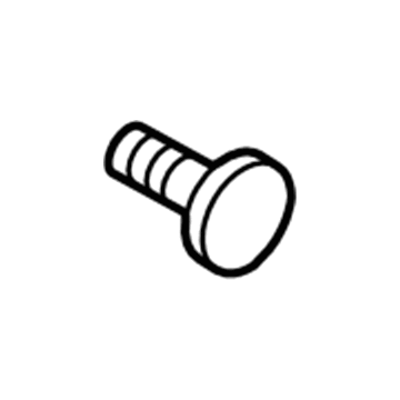 Lincoln -W701894-S446 Shift Knob Screw