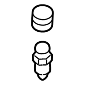 Lincoln 8A8Z-2208-A Caliper Bleeder Screw