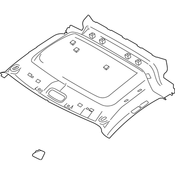 Ford KT1Z-6151916-AB Front Headliner