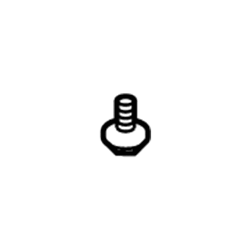 Ford -W702928-S437 Side Bracket Screw