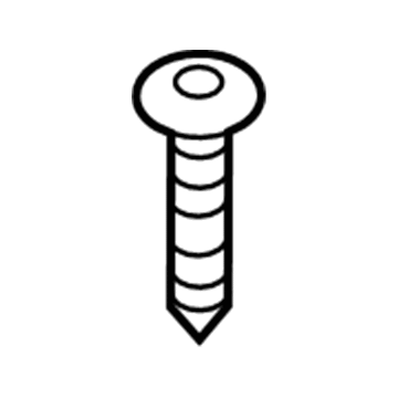 Ford -W710881-S900 Lower Striker Screw