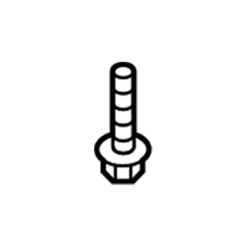 Lincoln -W716345-S450B Lower Shield Retainer Screw