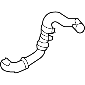 Ford EB5Z-8286-C Lower Hose