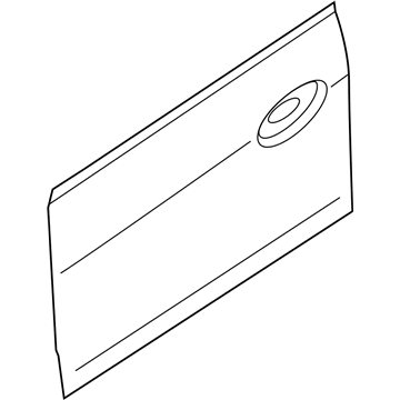 Ford DM5Z-5820200-A Outer Panel