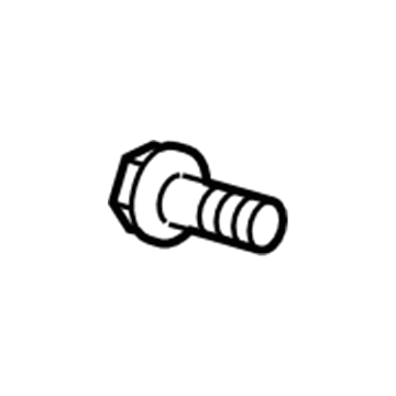 Ford -W706897-S900 Door Check Screw