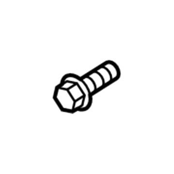 Ford -W505855-S439 Duct Screw