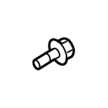 Lincoln -W713778-S900 Door Check Bolt