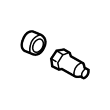 Lincoln 7L1Z-2208-A Caliper Bleeder Screw