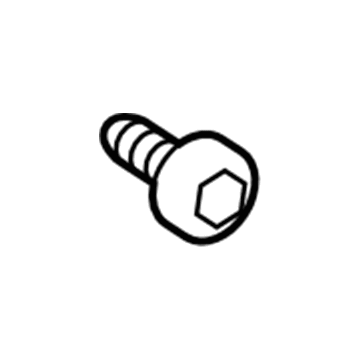 Ford -W505520-S303 Door Glass Screw