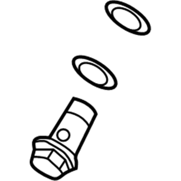 Lincoln 8E5Z-3A705-A Pressure Hose Bolt