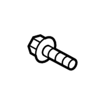 Ford -W503823-S307 Striker Screw