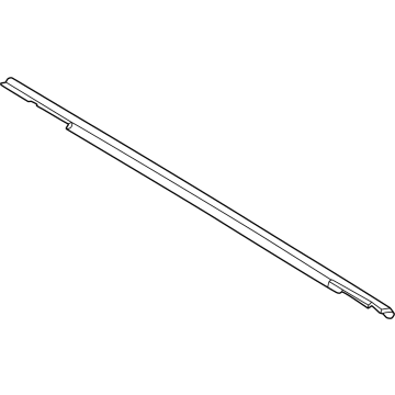 Ford M2DZ-9821452-A Belt Molding