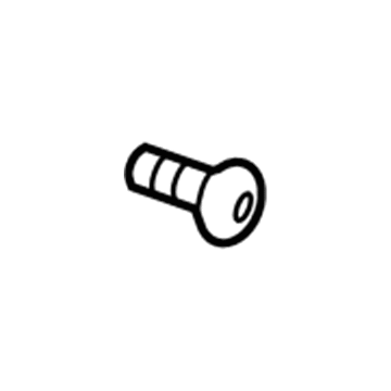 Lincoln -W707957-S437M Buckle Screw