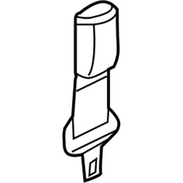 Lincoln 6L2Z-78611C22-AA Extension