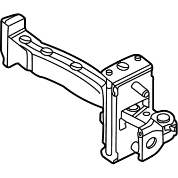 Ford LJ8Z-5823552-A Door Check