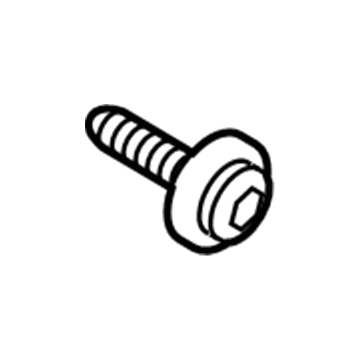 Lincoln -W705132-S439 Upper Trim Screw