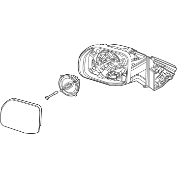 Ford M1PZ-17682-A Mirror Assembly