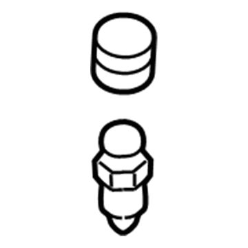 Lincoln 8A8Z-2208-A Caliper Bleeder Screw