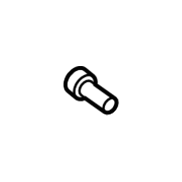 Ford -W715500-S900 Water Outlet Bolt