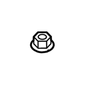 Lincoln -W702438-S300 Side Cover Nut