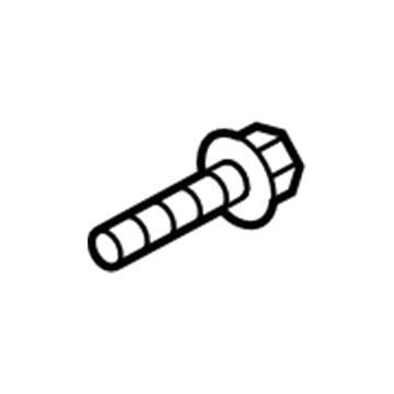 Lincoln -W713778-S900 Door Check Bolt