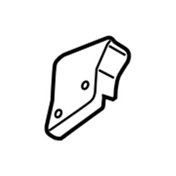 Ford DT1Z-1761693-FA Latch Cover