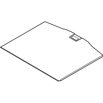 Ford LJ6Z-7813046-AA Floor Cover