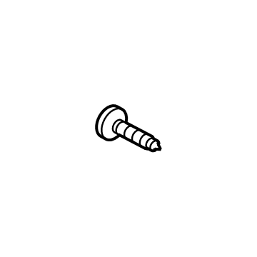 Lincoln -W506942-S451 Rear Pillar Trim Screw