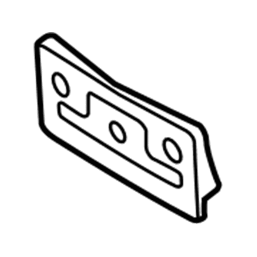 Ford DR3Z-17A385-AA License Bracket