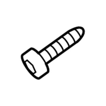 Ford -W505956-S424 Coat Hook Screw