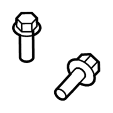 Mercury -W716090-S437 Heat Shield Screw