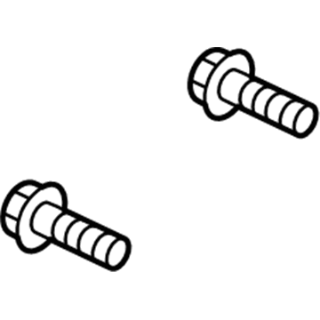 Ford -W704875-S439 Module Screw