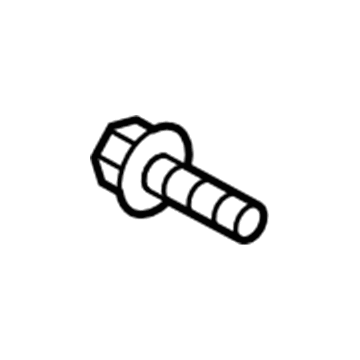 Ford -W503823-S307 Striker Screw