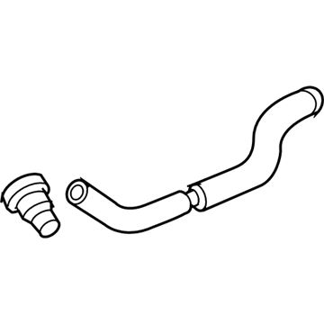 Lincoln 6L3Z-9C490-A Check Valve