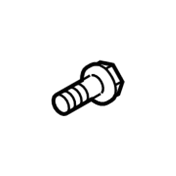 Lincoln -W716345-S450B Side Retainer Screw