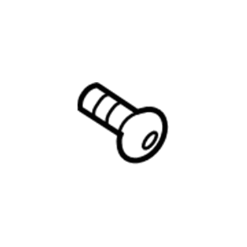 Lincoln -W707957-S437M Buckle Screw